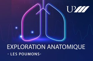 Exploration Anatomique upm : Les poumons